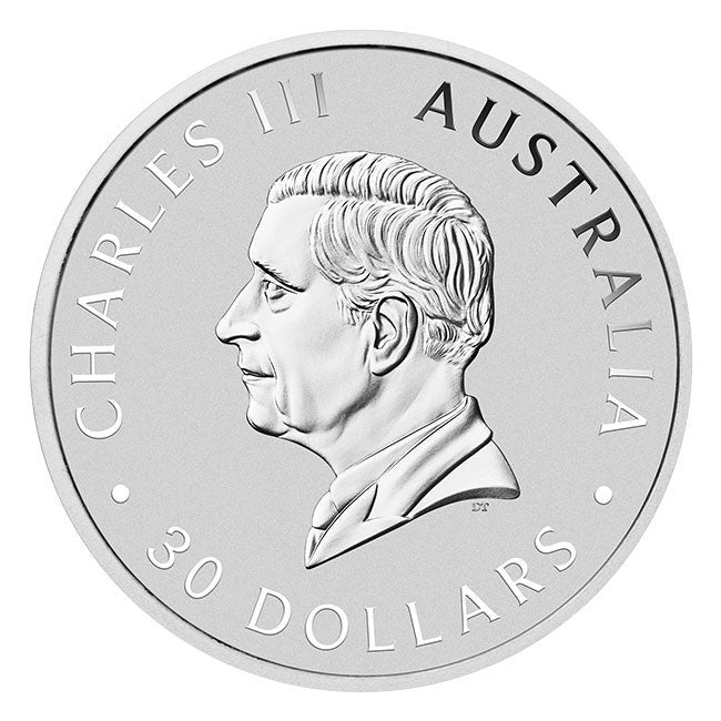 2024 Kilo Silver Koala Coin